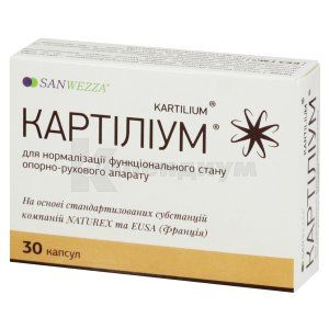 Картилиум капсулы, 380 мг, № 30; Новалик-Фарм