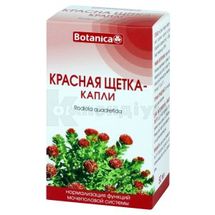 ЧЕРВОНА ЩІТКА — КРАПЛІ 50 мл, № 1; Ботаніка