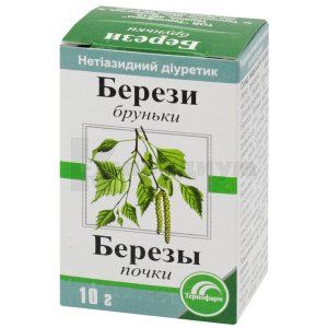 Березы почки